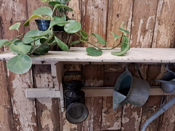 wooden painted kitchen shelf decorative homewares storage