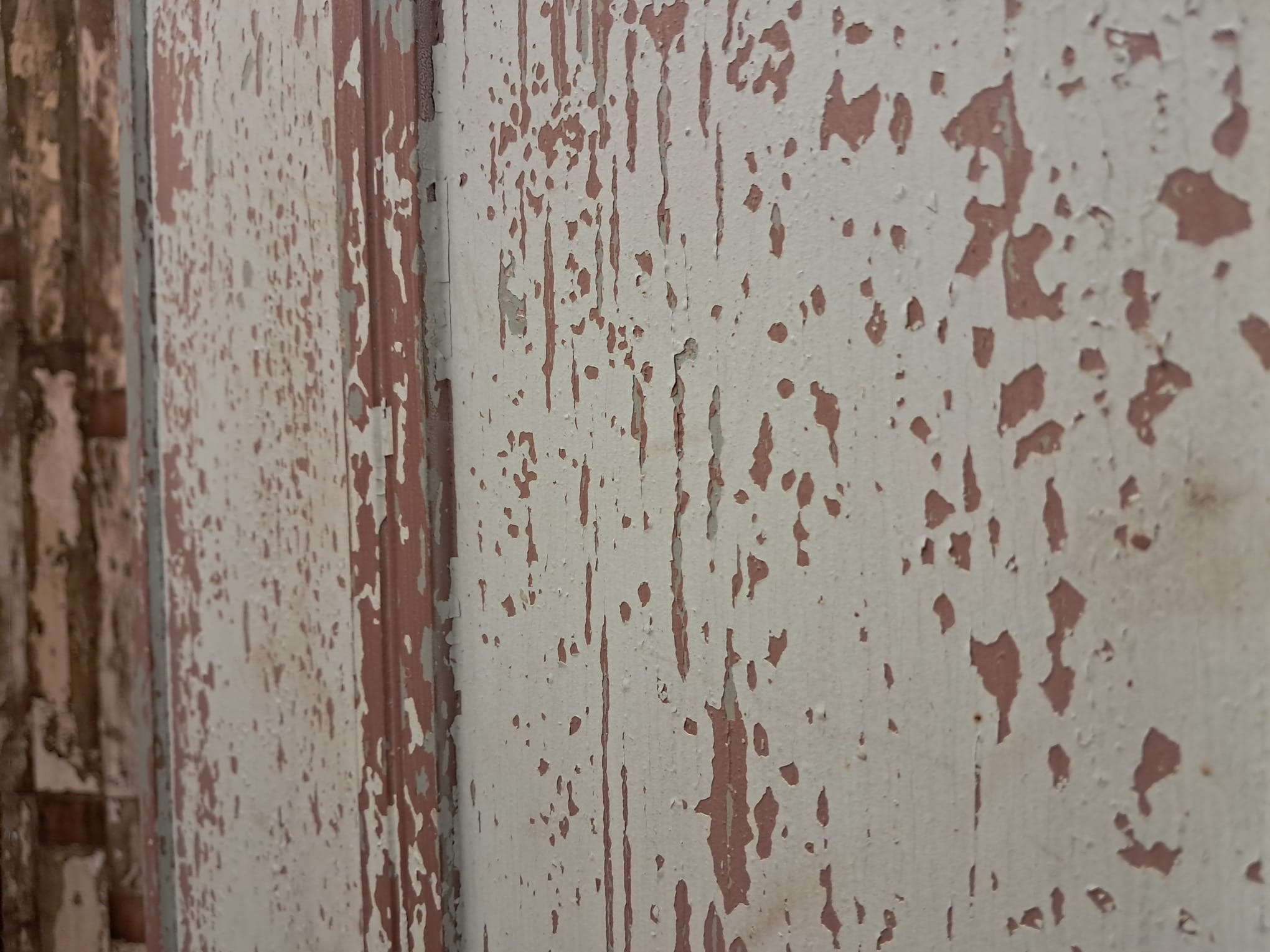 painted wooden shelved pantry cupboard furniture cupboards & cabinets