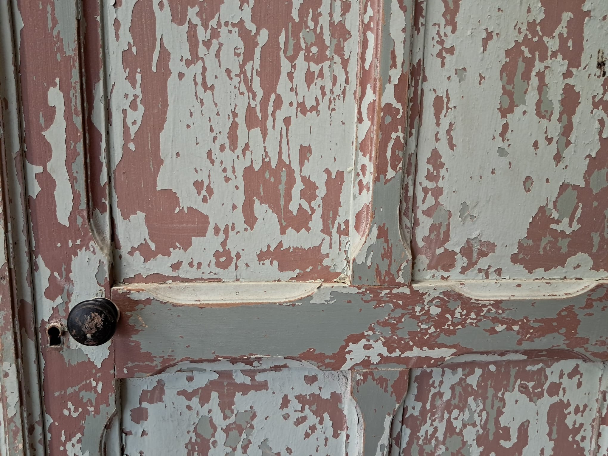 painted wooden shelved pantry cupboard furniture cupboards & cabinets