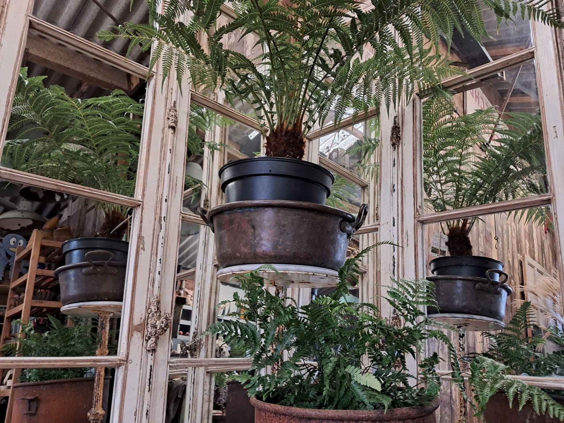 wooden french window mirror garden