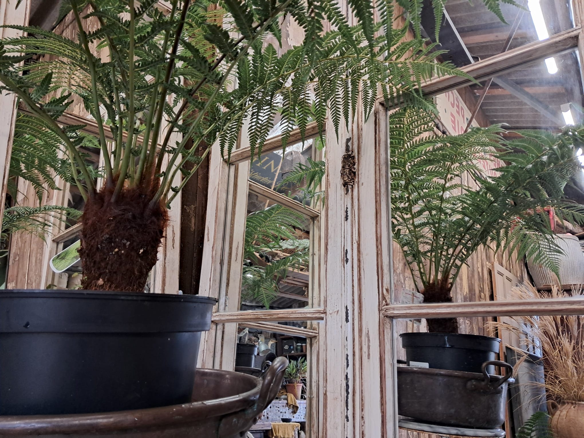 wooden french window mirror garden