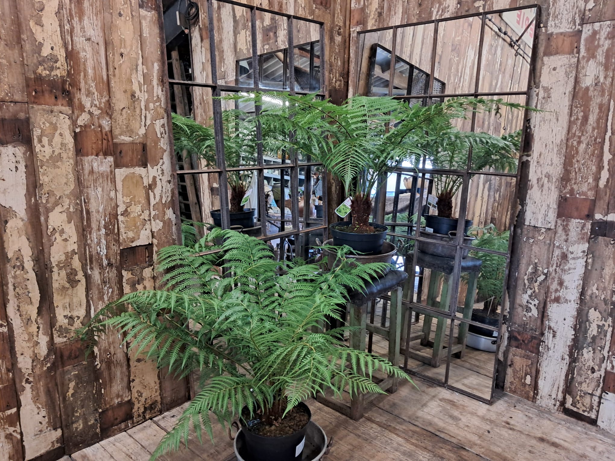 steel straight edge window mirror mirrors garden