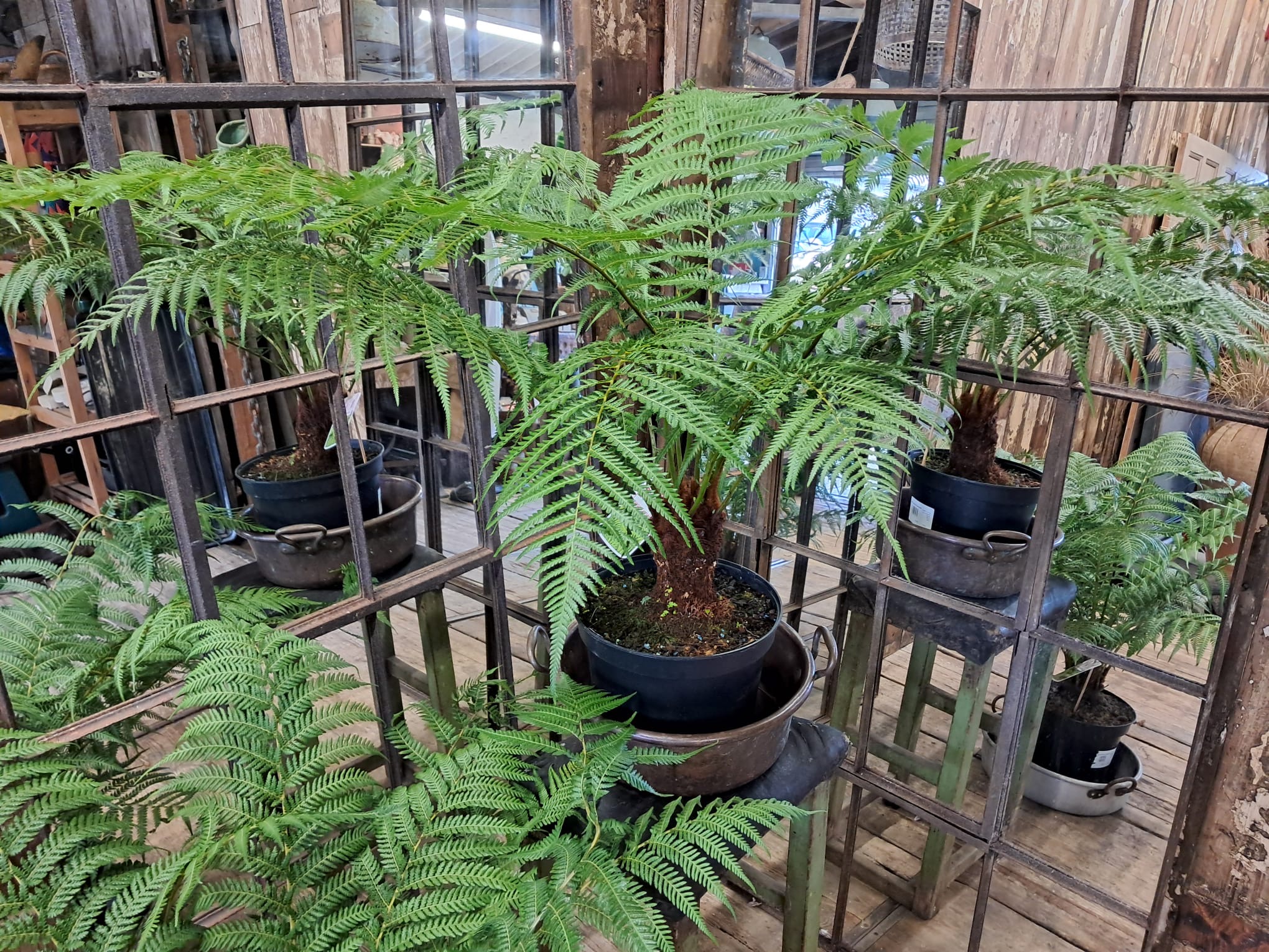 steel straight edge window mirror mirrors garden