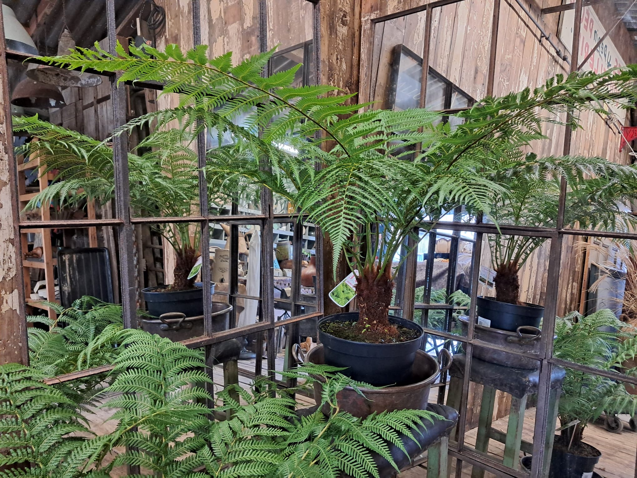 steel straight edge window mirror mirrors garden