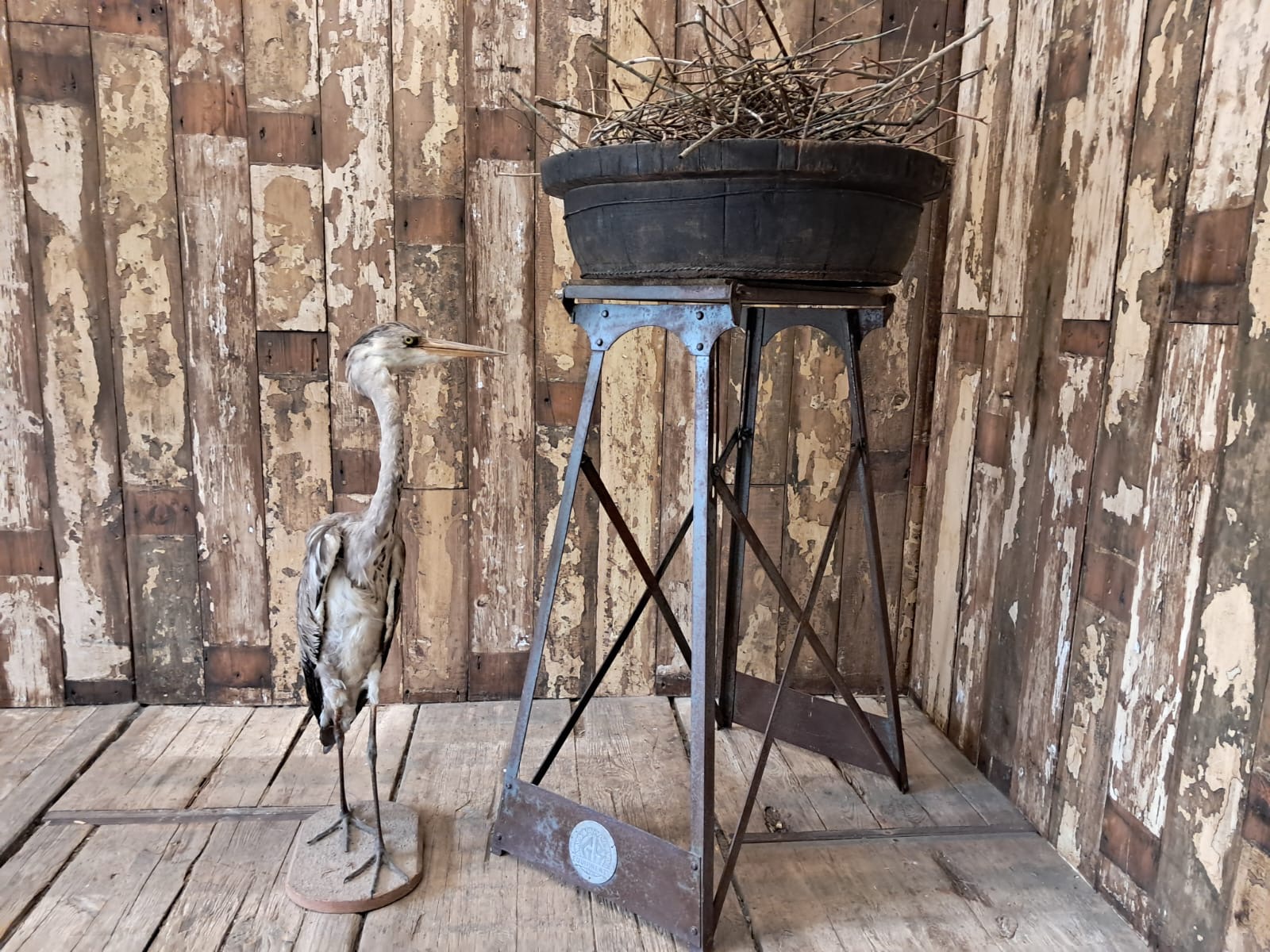 steel and pine folding stand furniture tables decorative homewares
