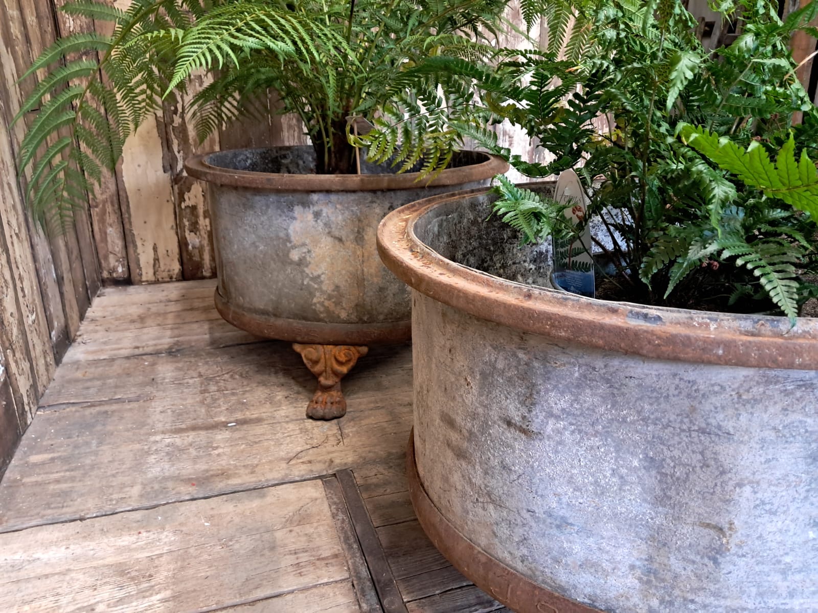 steel cast iron planters garden decorative homewares