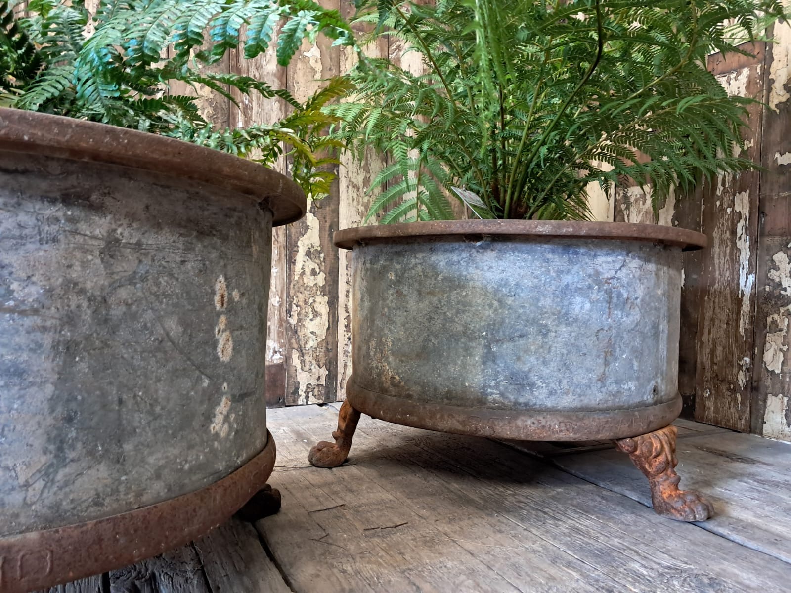 steel cast iron planters garden decorative homewares