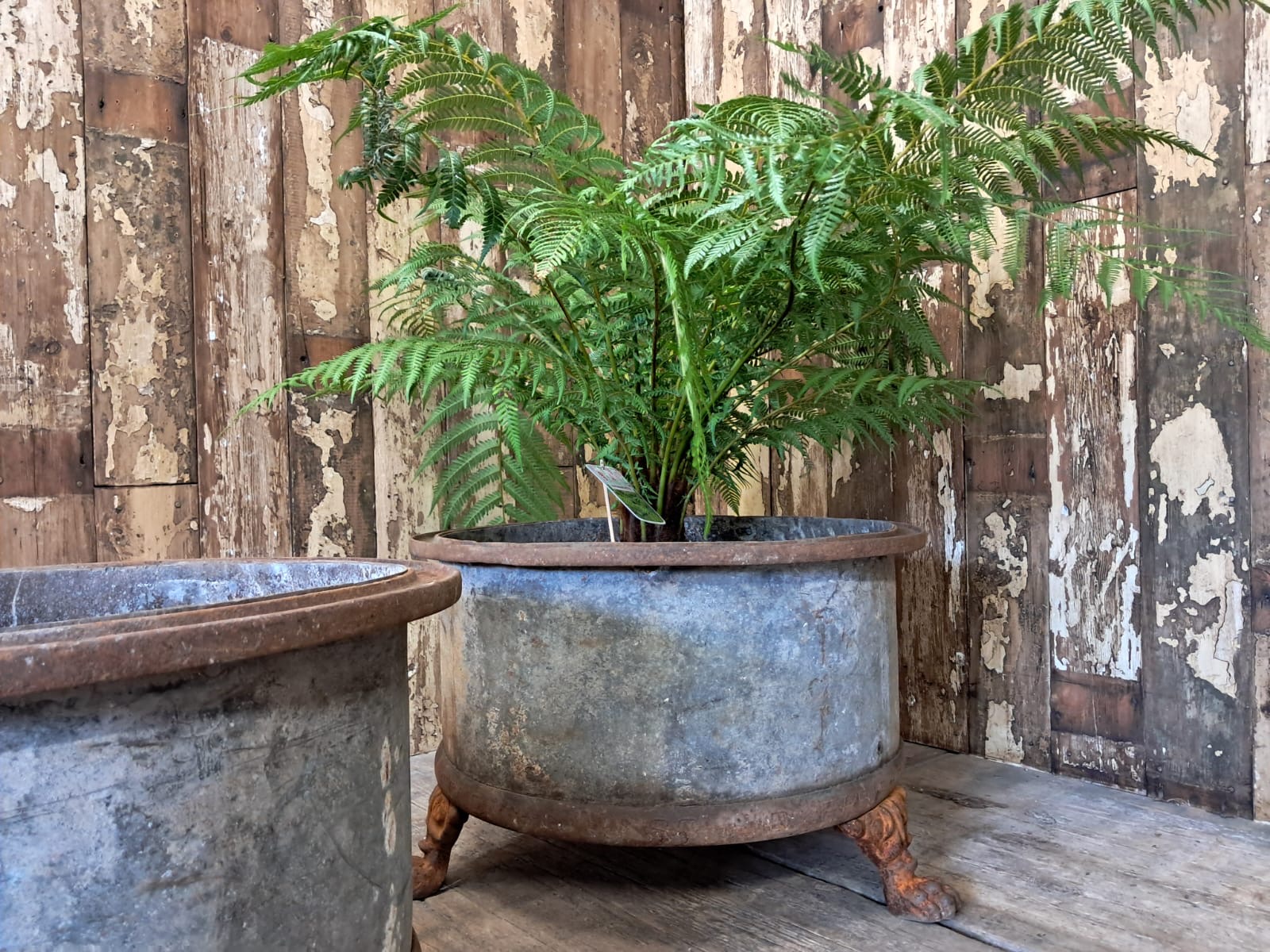 steel cast iron planters garden decorative homewares