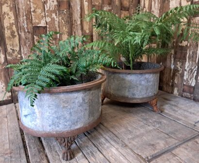 steel cast iron planters garden decorative homewares