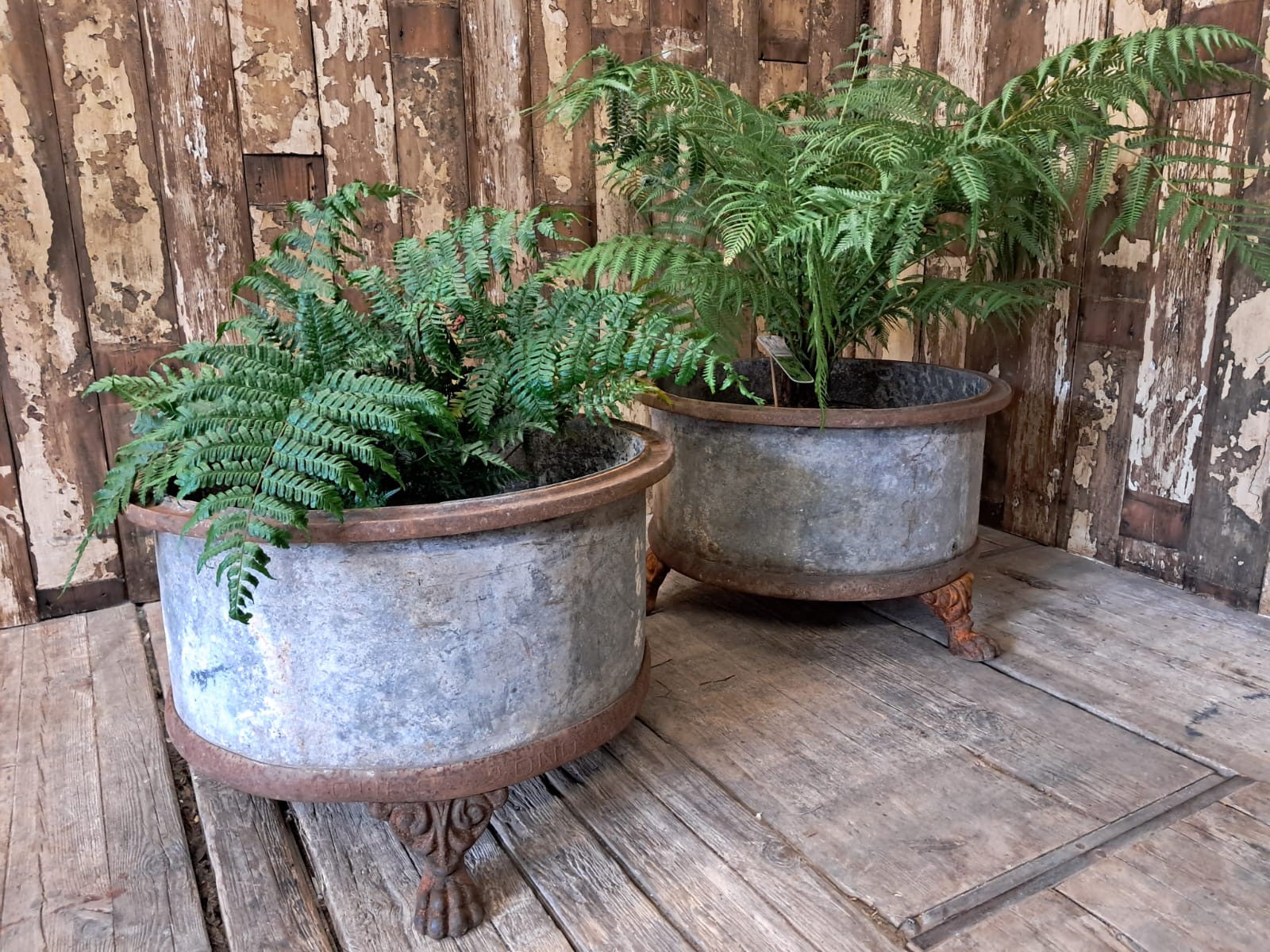 steel cast iron planters garden decorative homewares