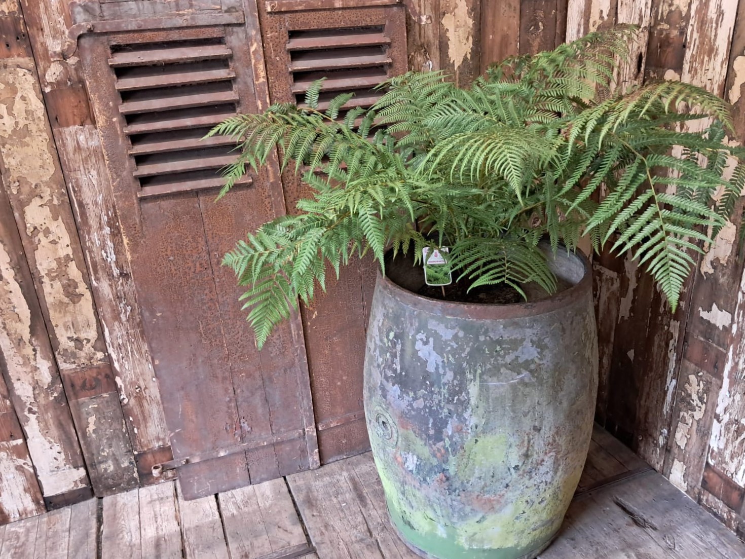 galvanised acid barrel vessel garden planters industrial decorative homewares