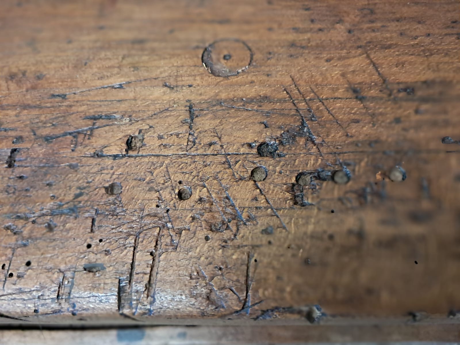 wooden workbench furniture tables industrial
