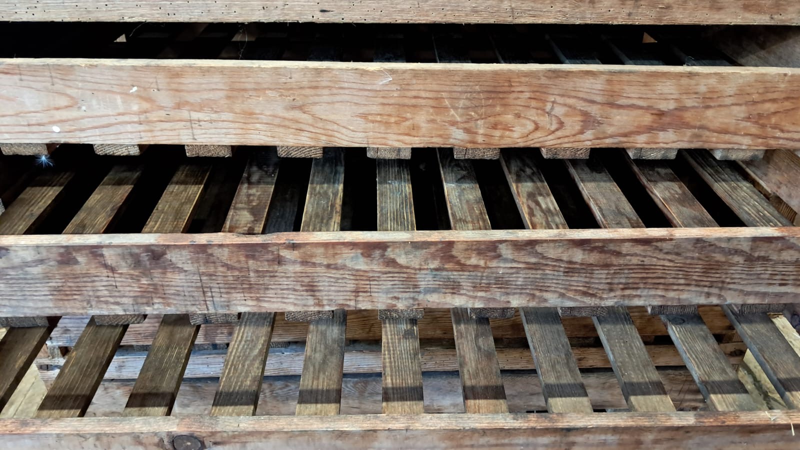pine apple rack furniture storage garden