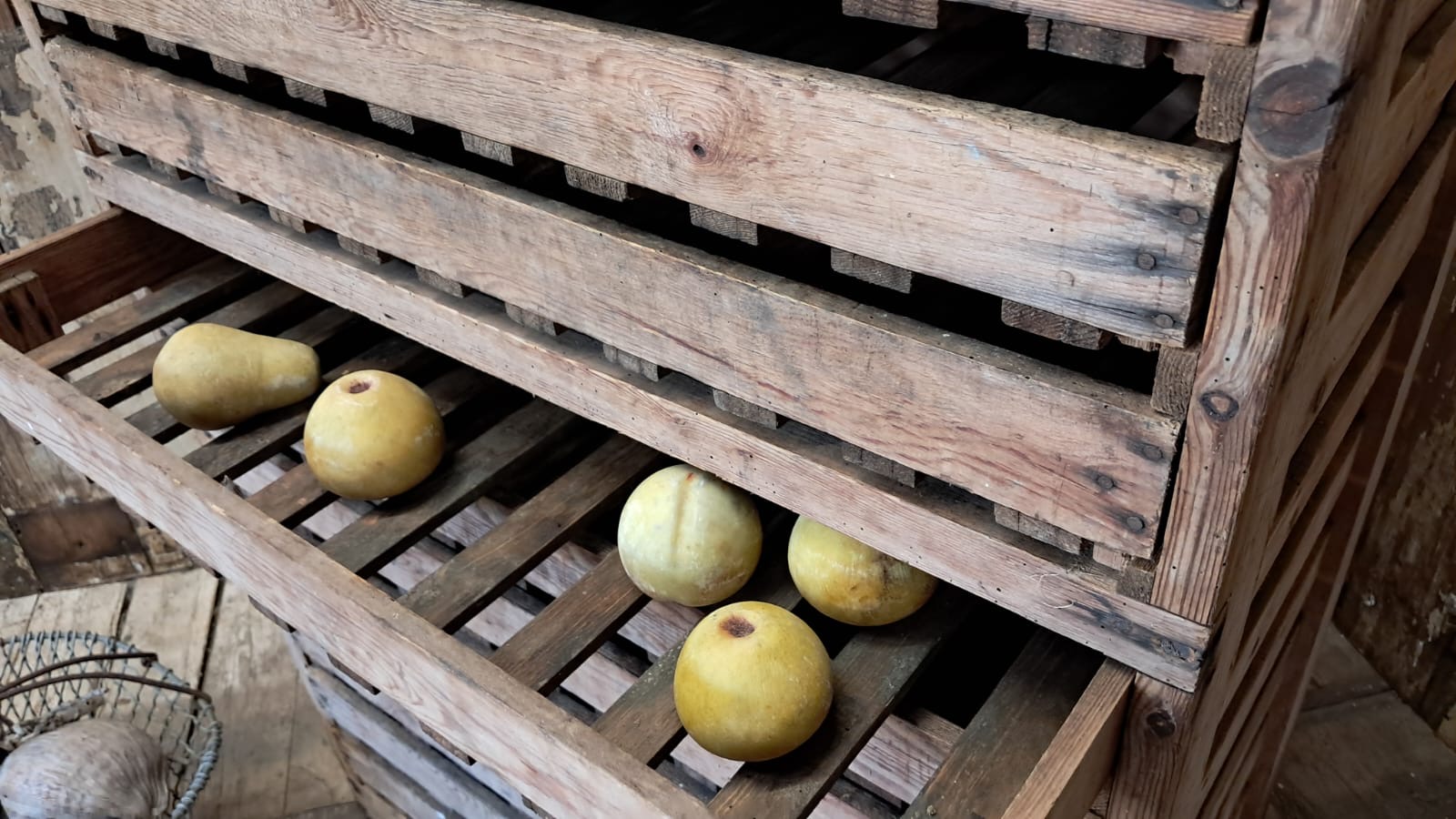 pine apple rack furniture storage garden