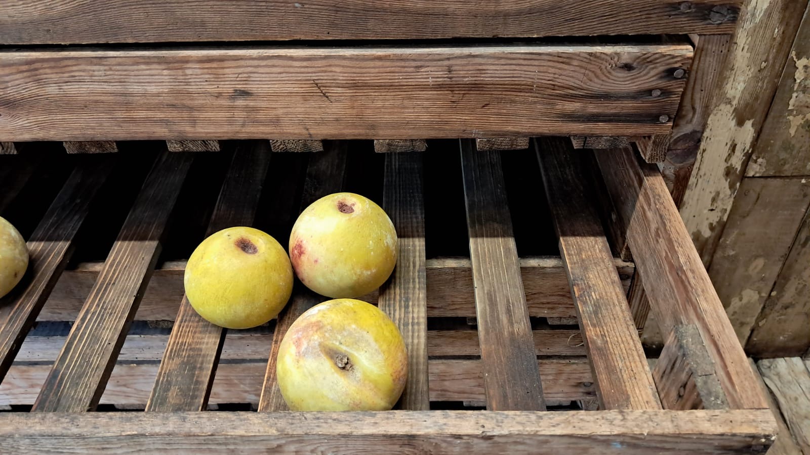 pine apple rack furniture storage garden