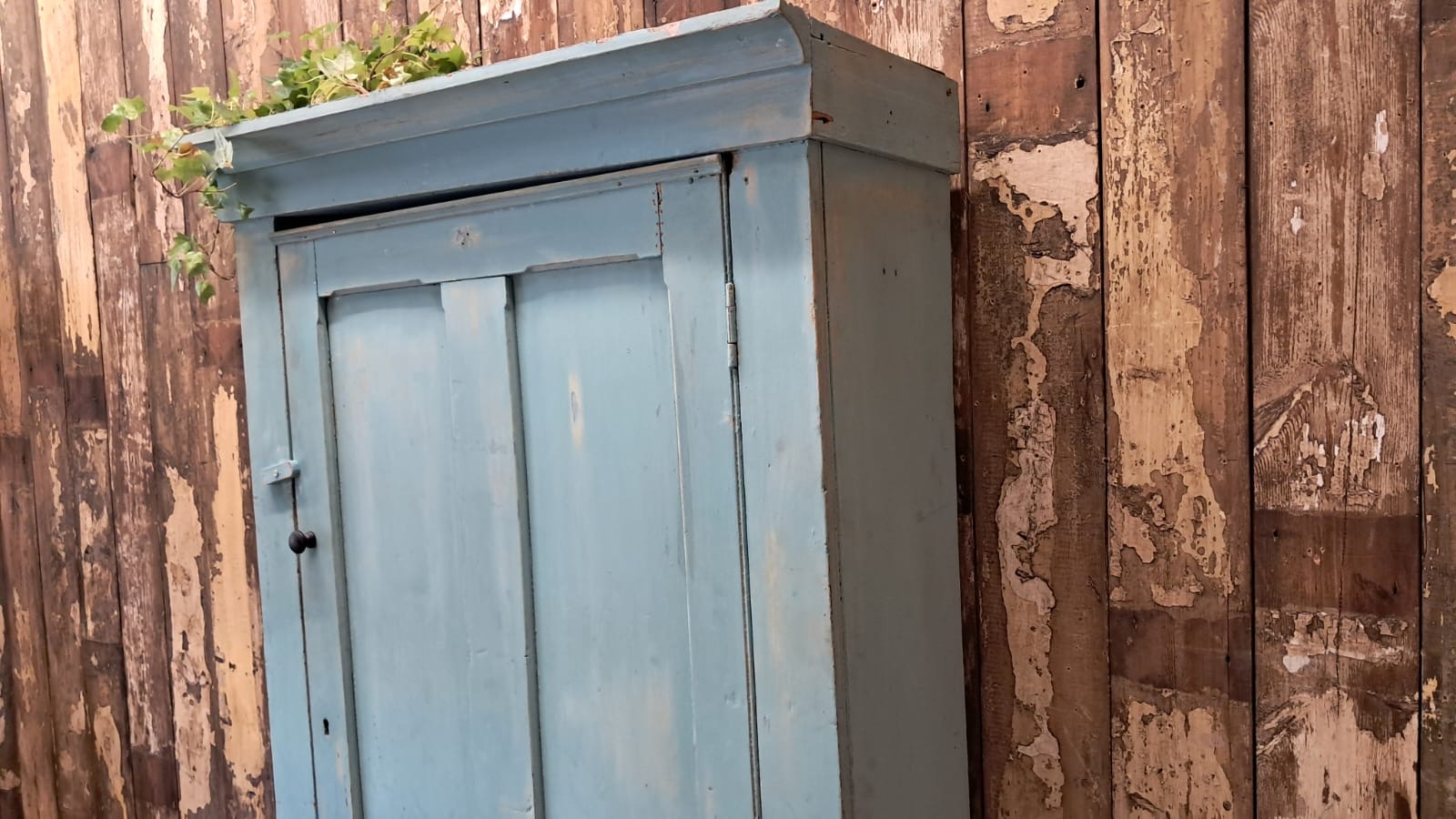 painted wooden shelved pantry cupboard furniture cupboards & cabinets