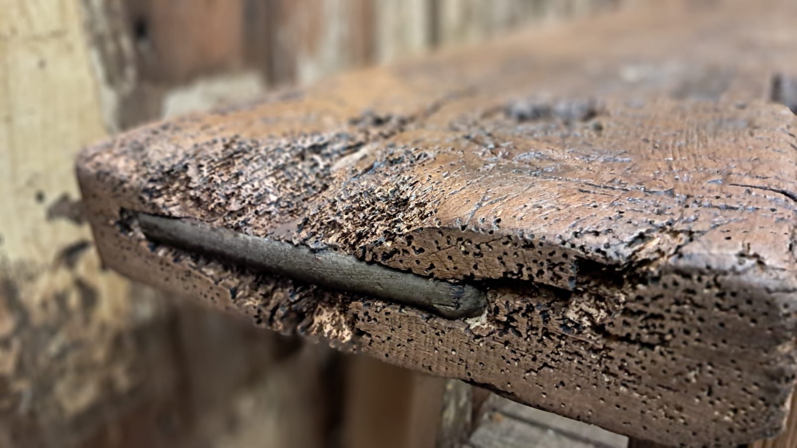 carpenters workbench furniture tables industrial
