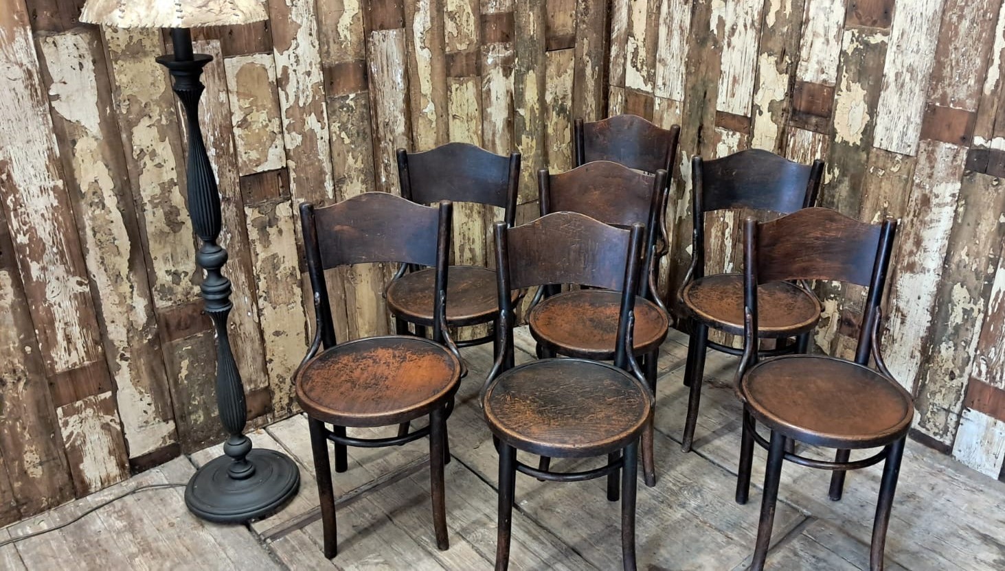 beech steambent dining chairs seating occasional chairs