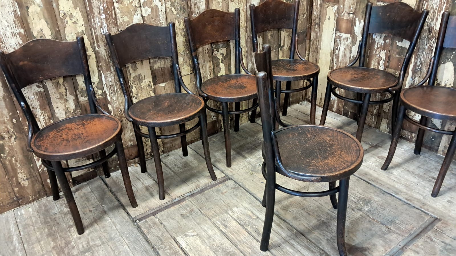 beech steambent dining chairs seating occasional chairs