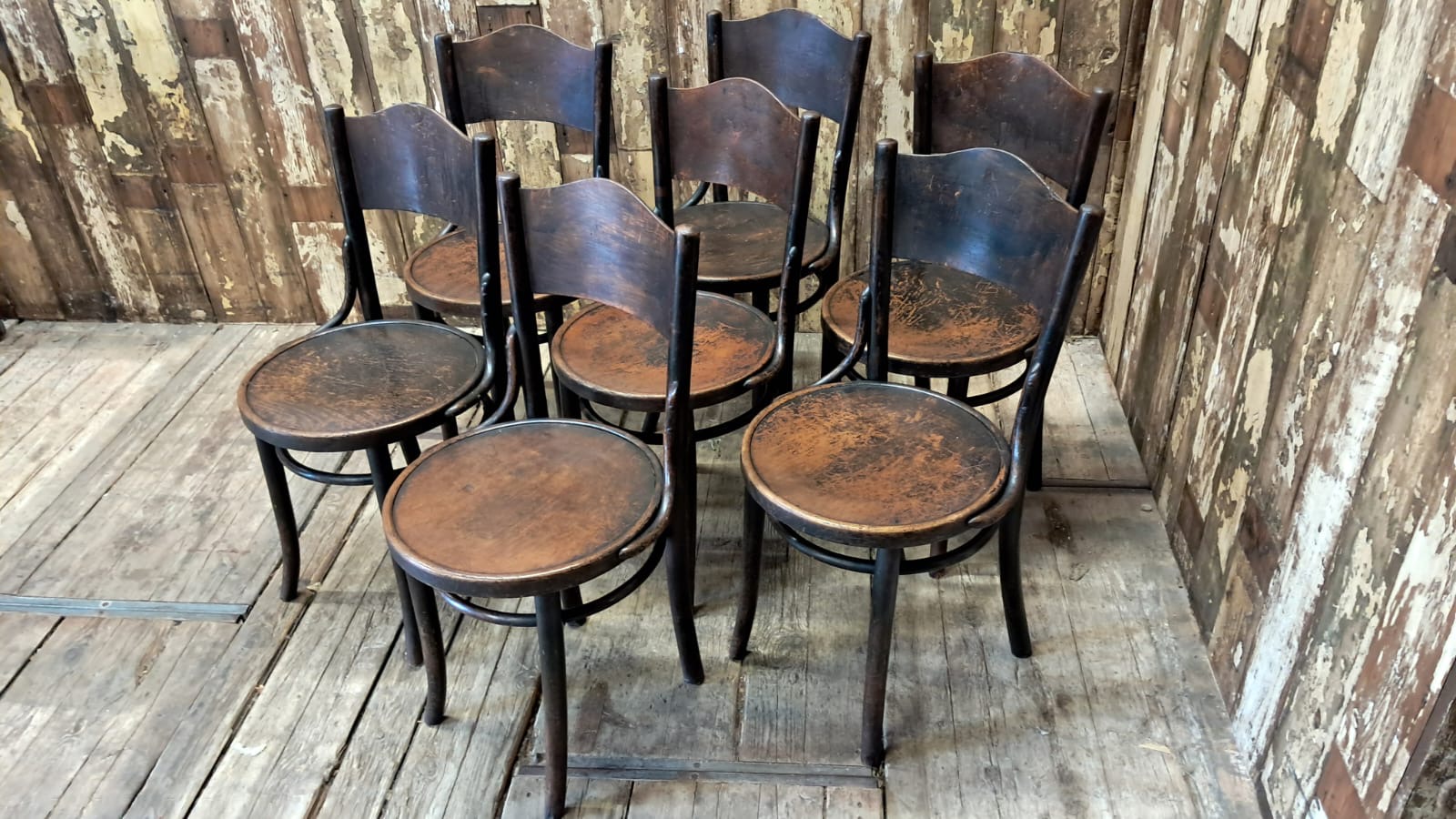 beech steambent dining chairs seating occasional chairs