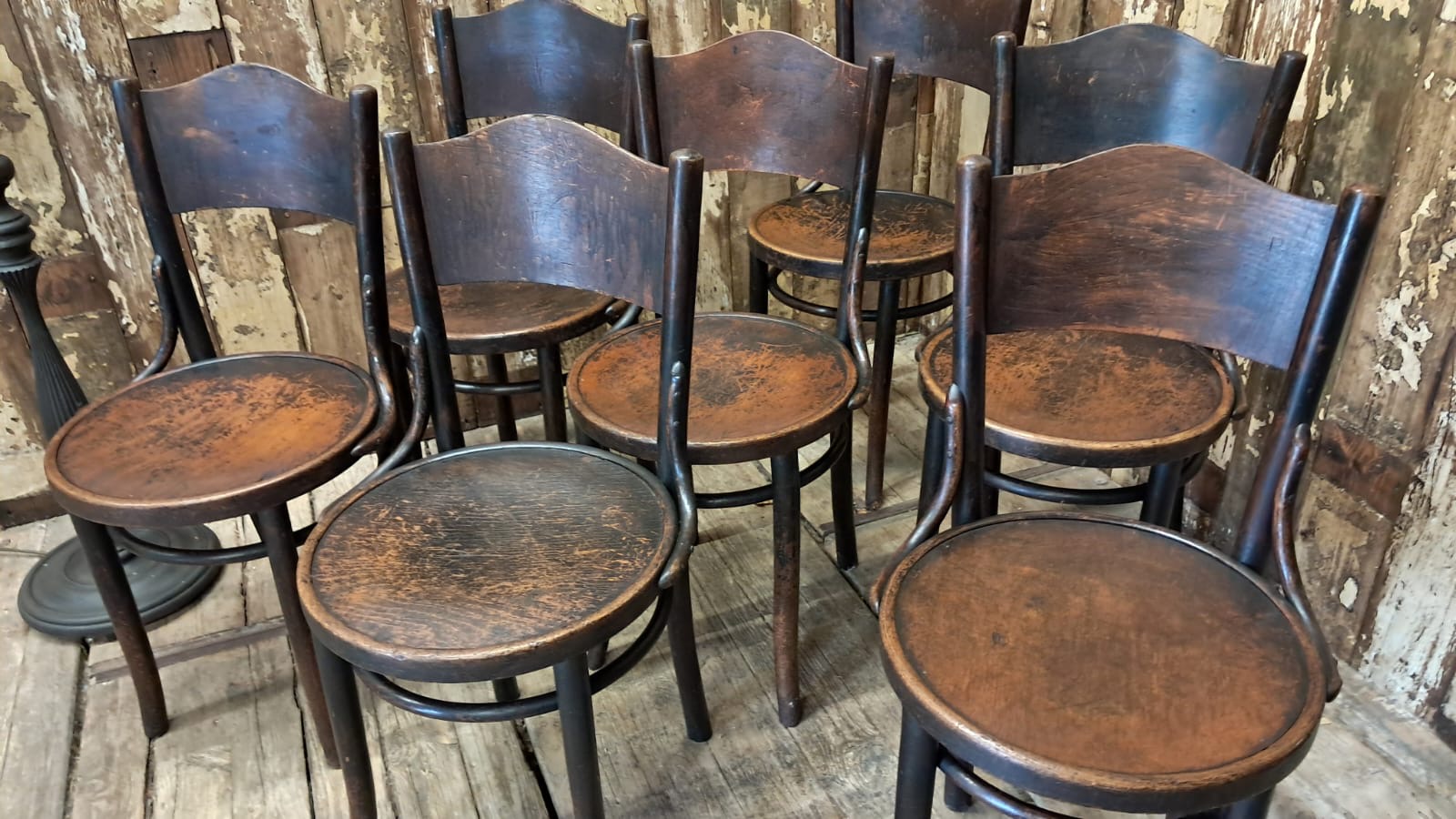 beech steambent dining chairs seating occasional chairs