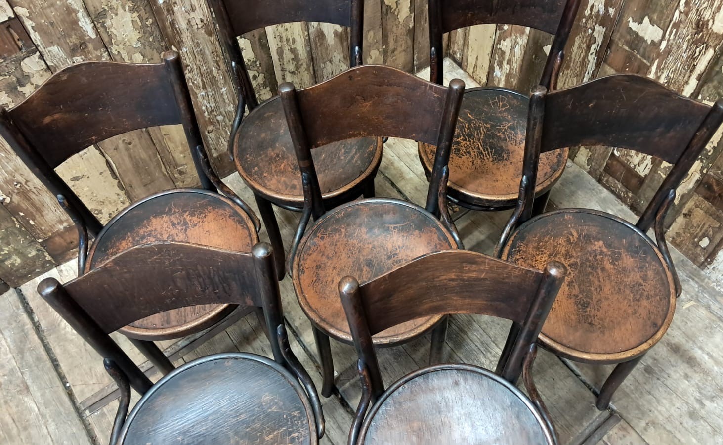 beech steambent dining chairs seating occasional chairs