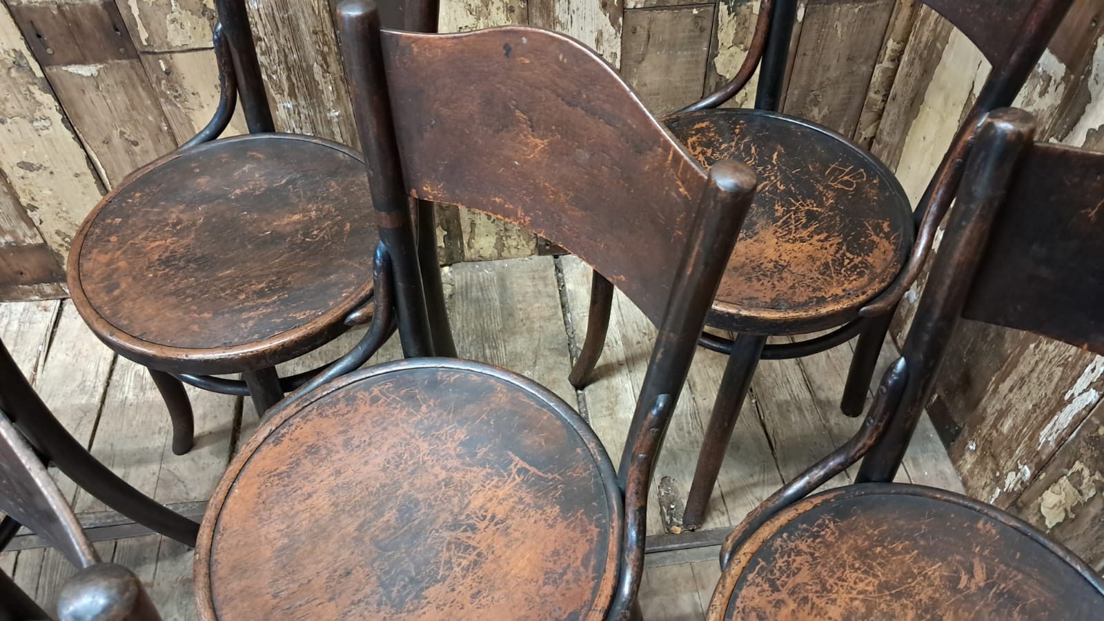 beech steambent dining chairs seating occasional chairs