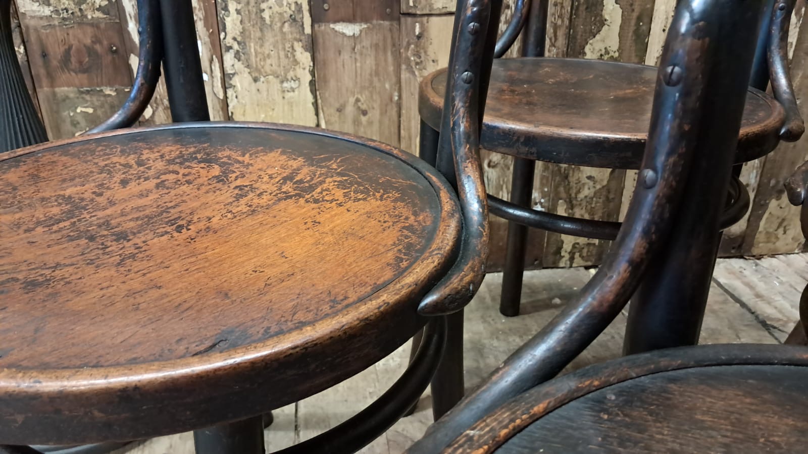 beech steambent dining chairs seating occasional chairs