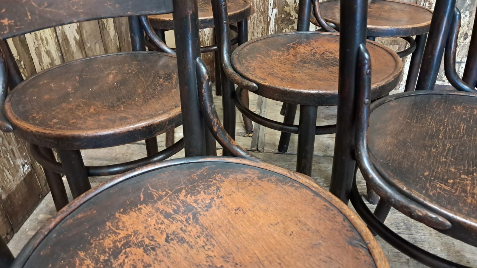 beech steambent dining chairs seating occasional chairs